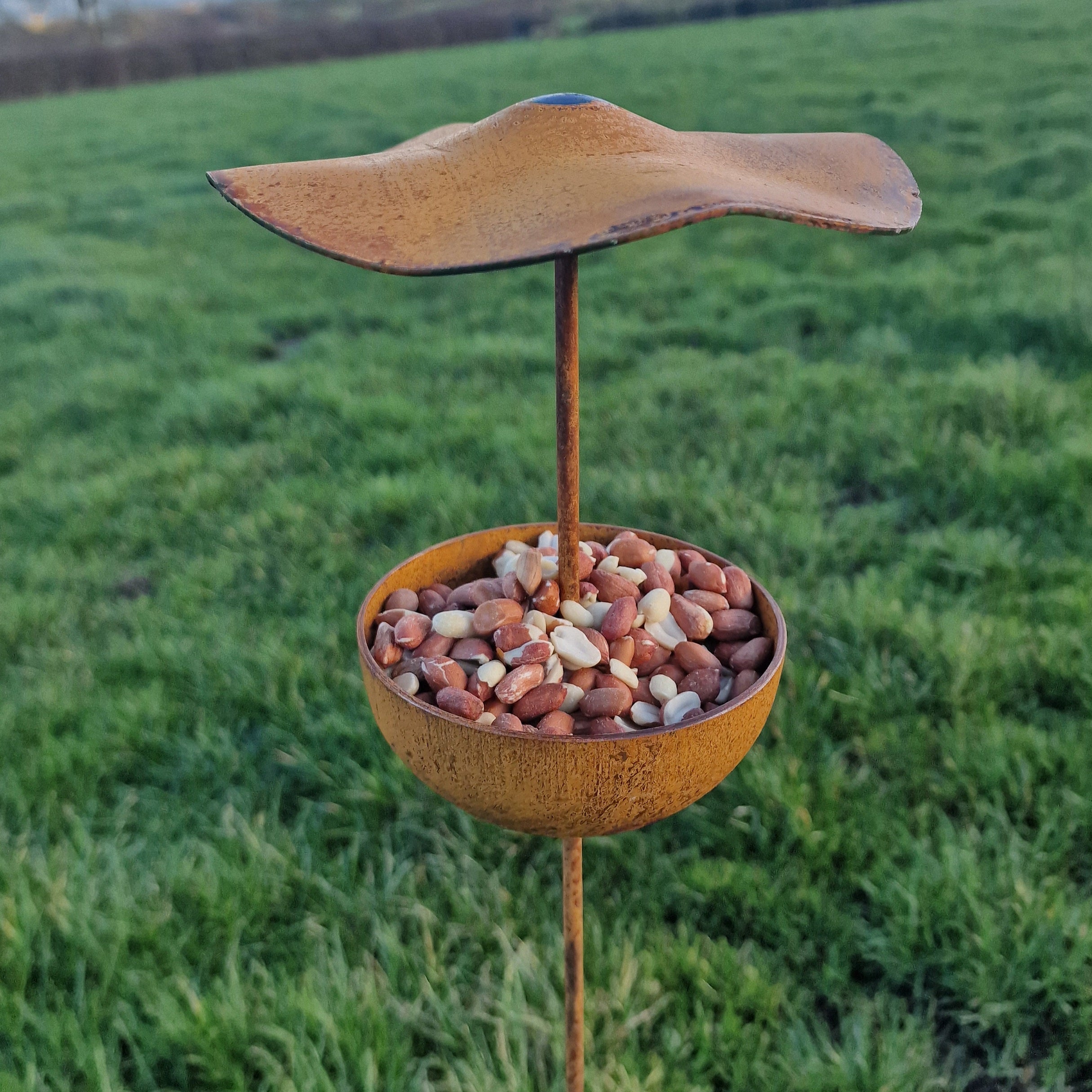 Bird Feeders / Baths