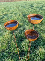 Rain Catchers Sculpture