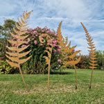 Metal Fern Leaves