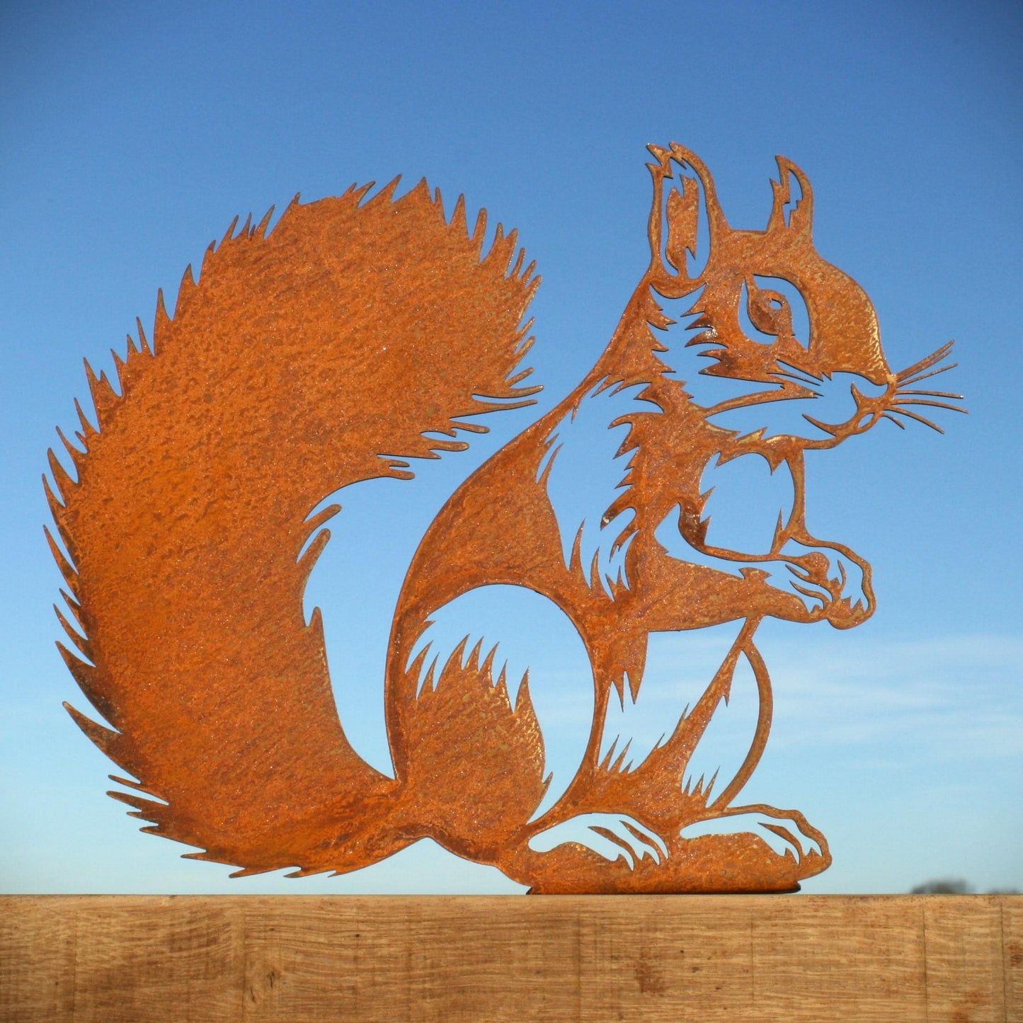 Metal Squirrel