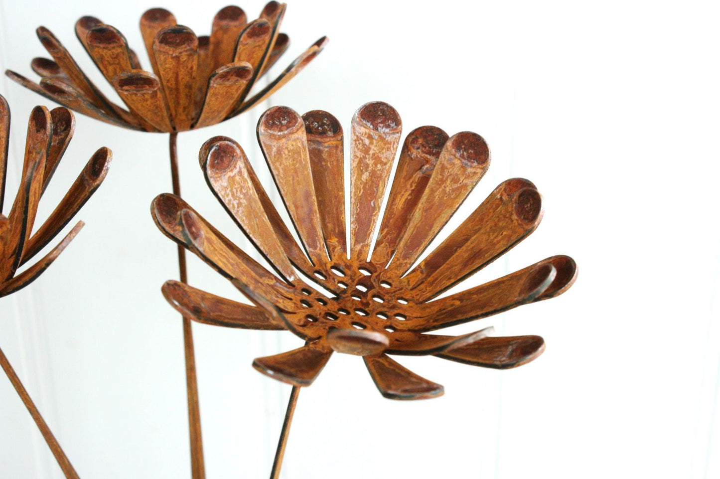 Daisy Flower Stems Rusted x 3