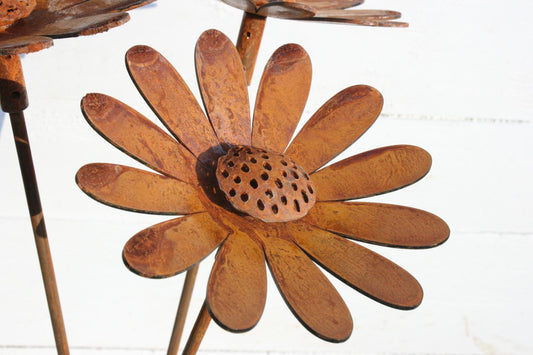 Rusted Daisy Flowers