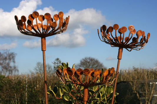 Rusted Metal Garden Cow Parsley