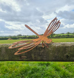 Rusted Metal Dragonfly