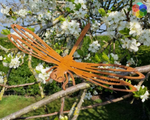 Rusted Metal Dragonfly