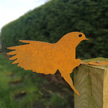 Rusted Metal Bird Landing