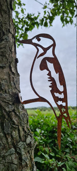 Rusted Metal Woodpecker