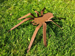 Rusted Metal Spider