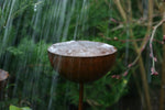 Rain Catchers Sculpture